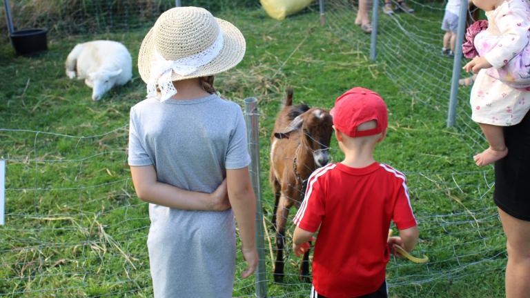 IMG_6210 (Niestandardowy).JPG