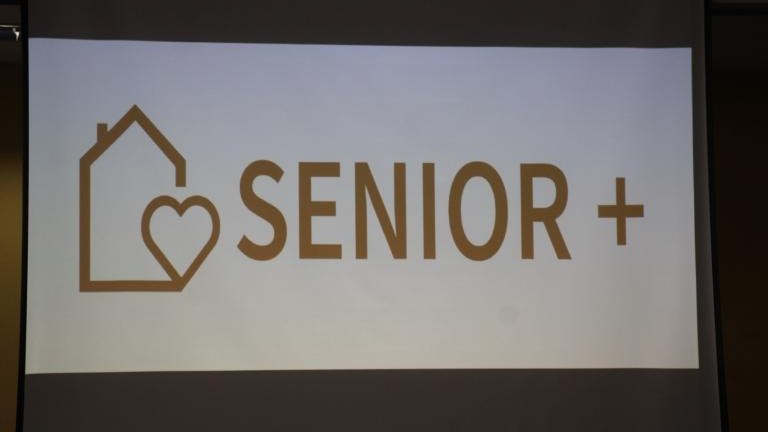 1B (Niestandardowy).JPG