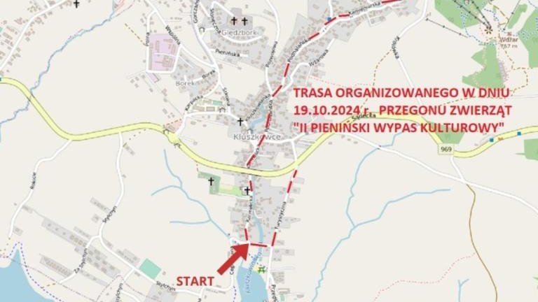 3 Redyk (Niestandardowy).jpg