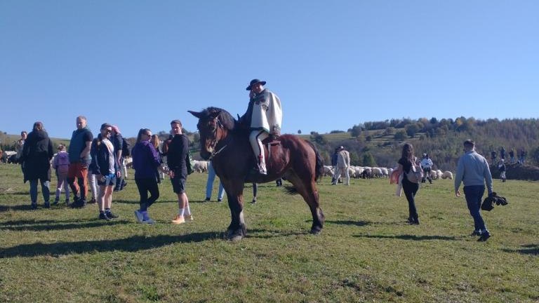 1 (2) (Niestandardowy).jpg