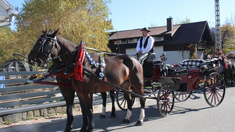 2 (13) (Niestandardowy).JPG