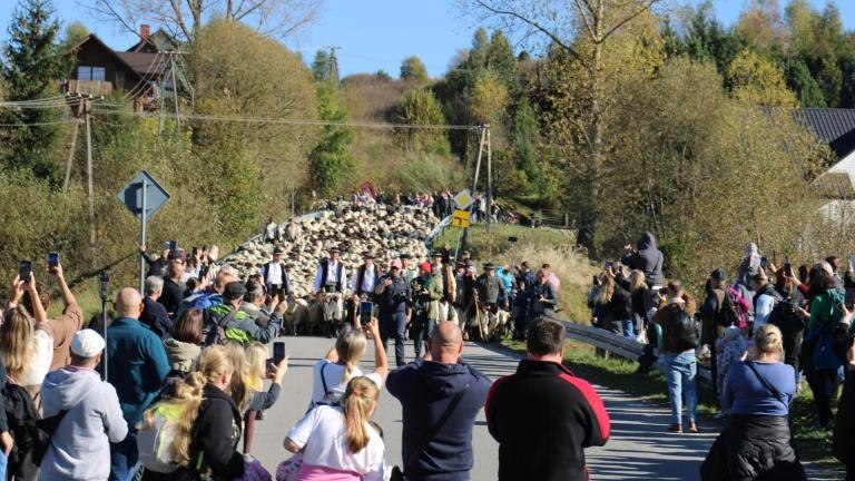 2 (22) (Niestandardowy).JPG