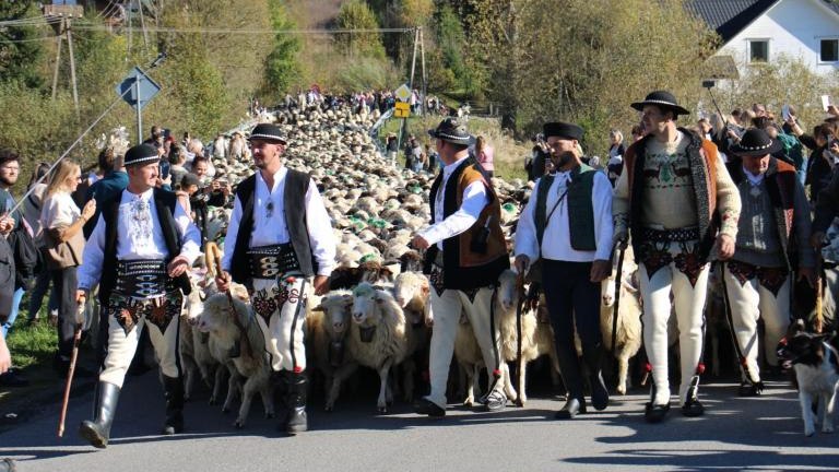 2 (23) (Niestandardowy).JPG