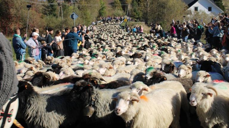 2 (26) (Niestandardowy).JPG