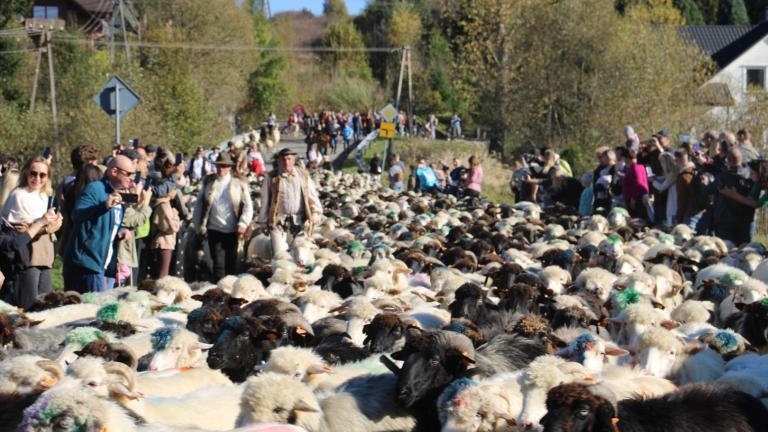 2 (30) (Niestandardowy).JPG