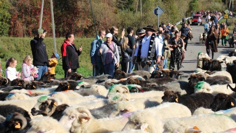 2 (33) (Niestandardowy).JPG