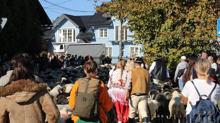 2 (34) (Niestandardowy).JPG