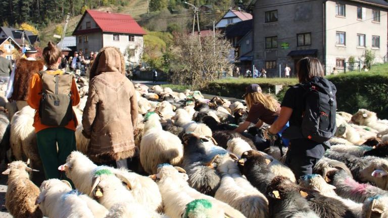 2 (38) (Niestandardowy).JPG