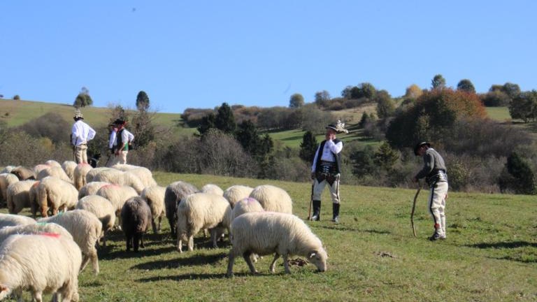 2 (4) (Niestandardowy).JPG