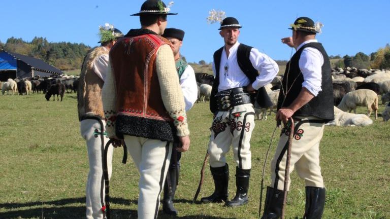 2 (7) (Niestandardowy).JPG