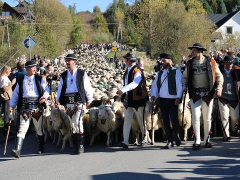 Fotorelacja z II Pienińskiego Wypasu Kulturowego