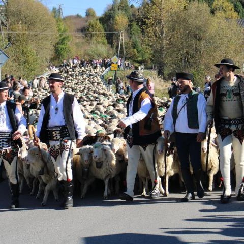 Fotorelacja z II Pienińskiego Wypasu Kulturowego