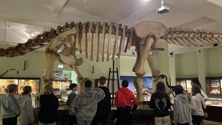 IMG_0725 (Niestandardowy).JPG