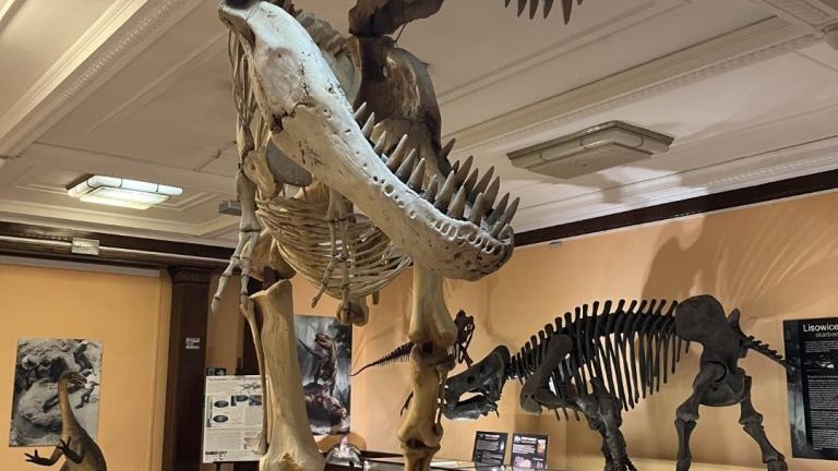 IMG_0727 (Niestandardowy).JPG