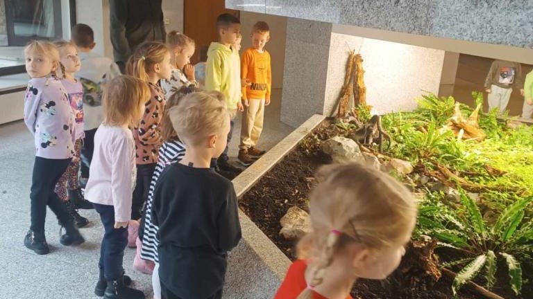 Park lekcja  (8) (Niestandardowy).jpg