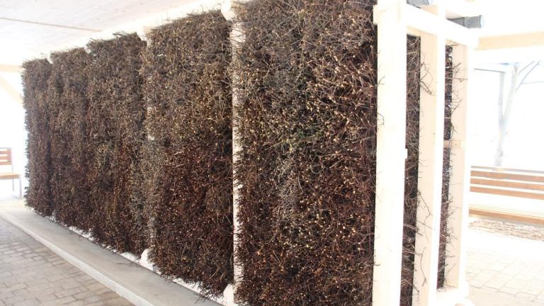 IMG_8957 (Niestandardowy).JPG