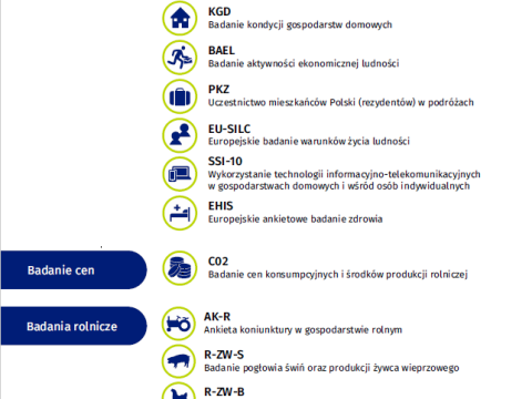Statystyczne badania ankietowych na terenie województwa małopolskiego w 2025 r.