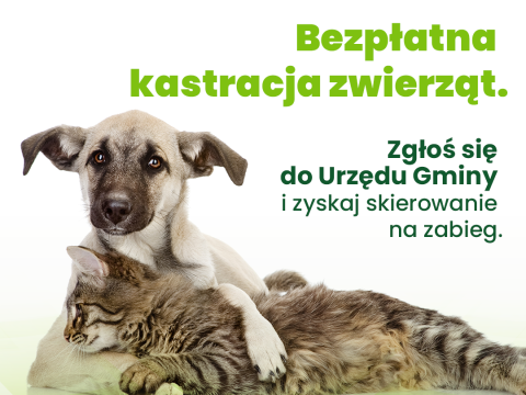 ZWIERZowa Akcja Kastracja w Gminie Czorsztyn