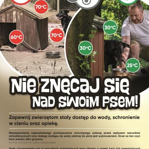 Zbliża się kolejna fala upałów, uwaga na zwierzęta!