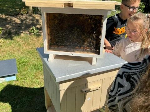 Pierwsze zajęcia z cyklu edukacyjnego „Otwórz oczy na zielone! Od projektu do efektu”