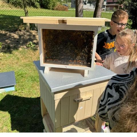 Pierwsze zajęcia z cyklu edukacyjnego „Otwórz oczy na zielone! Od projektu do efektu”