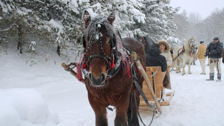 Wizyta studyjna Komitetu Monitorującego RPO Województwa Małopolskiego w Gminie Czorsztyn (8).JPG
