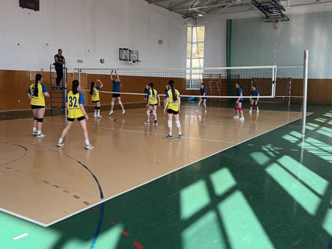 Podwójny sukces uczniów ze Sromowiec Niżnych w siatkówce