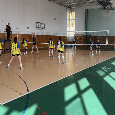 Podwójny sukces uczniów ze Sromowiec Niżnych w siatkówce