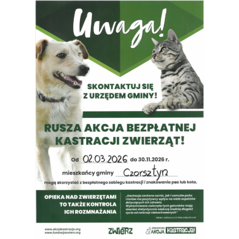 Rusza akcja bezpłatnej kastracji zwierząt dla mieszkańców Gminy Czorsztyn