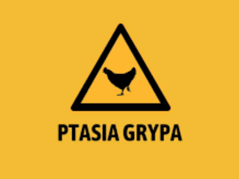 Rozporządzenie Wojewody Małopolskiego – wysoce zjadliwa grypa ptaków (HPAI)