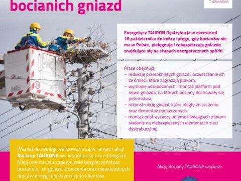 Zimowa opieka nad bocianimi gniazdami