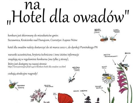 Konkurs "Hotel dla owadów"