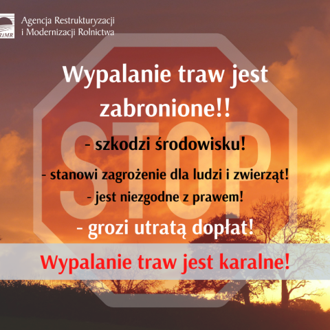 ARiMR przypomina: wypalanie traw jest karalne
