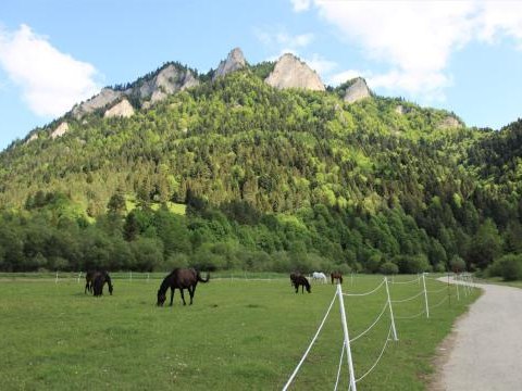 Ścieżka rowerowo-piesza wokół Tatr - Etap VI w Sromowcach Niżnych