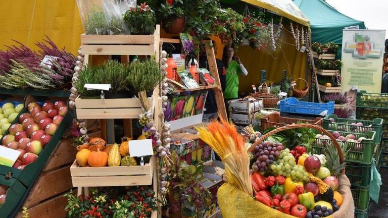 Agroprmocja zdjęcia (3).jpg