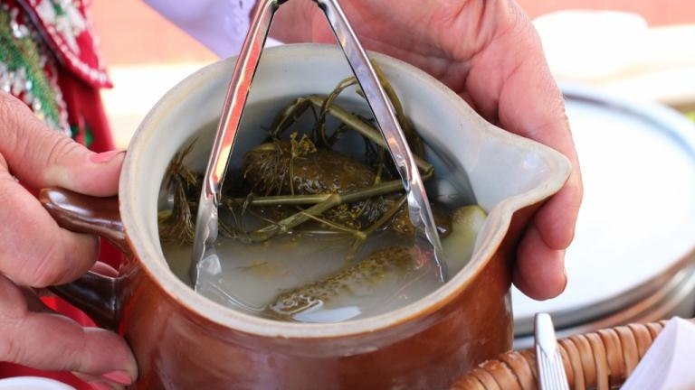 IMG_3109 (1024x683).jpg