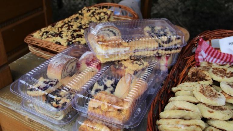 IMG_3776 (2) (1024x683).jpg