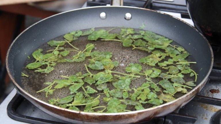 IMG_4185 (1024x683).jpg