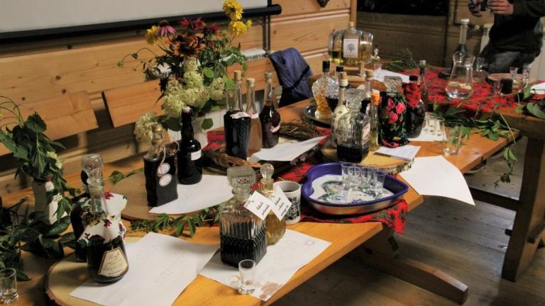 IMG_4527 (2) (1024x683).jpg