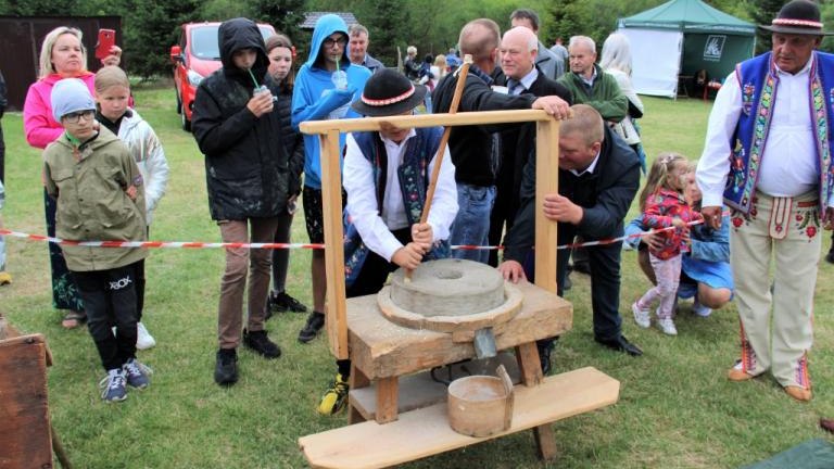 IMG_4557 (2) (1024x683).jpg